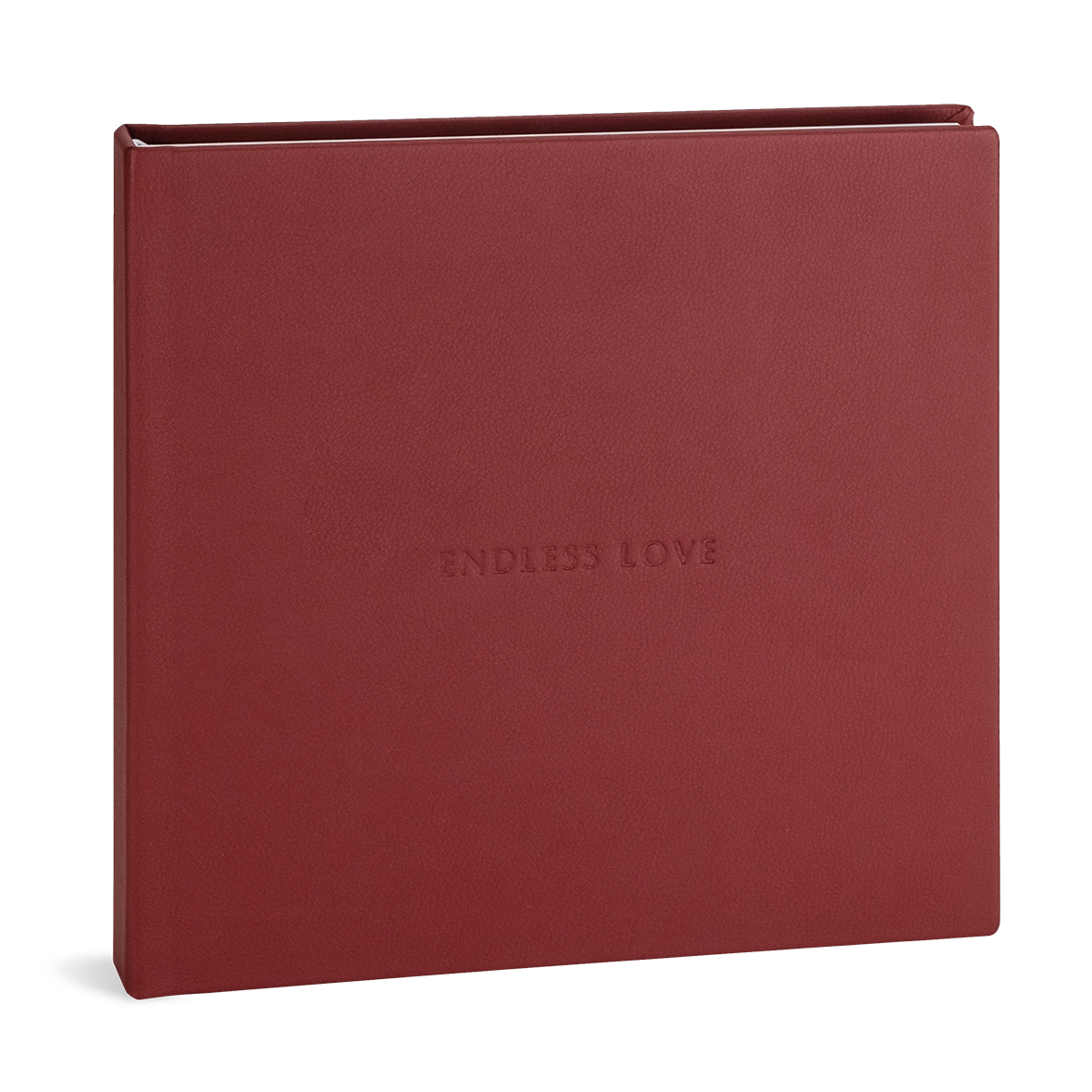 Contemporary Collection models Liguria